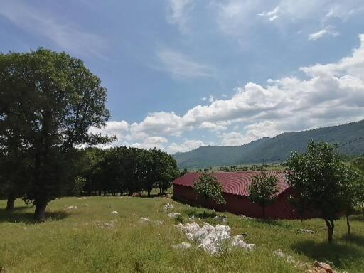 Farma & Apartmani Opg Sasa Delic Korenica Extérieur photo