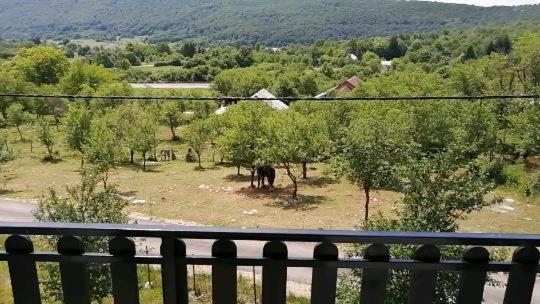 Farma & Apartmani Opg Sasa Delic Korenica Extérieur photo