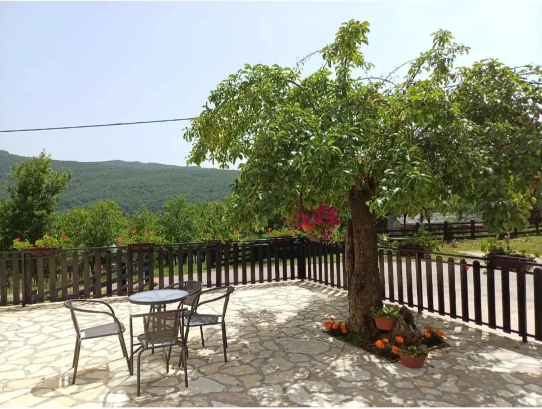 Farma & Apartmani Opg Sasa Delic Korenica Extérieur photo